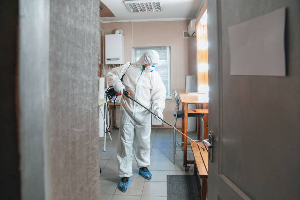 Biohazard Mold Removal in Taft, TX