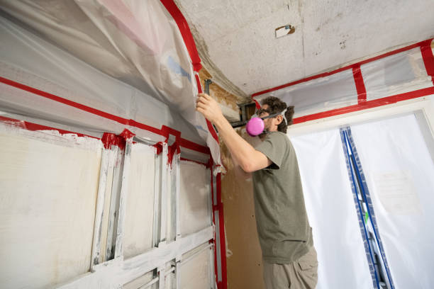Best Attic Mold Removal  in Taft, TX