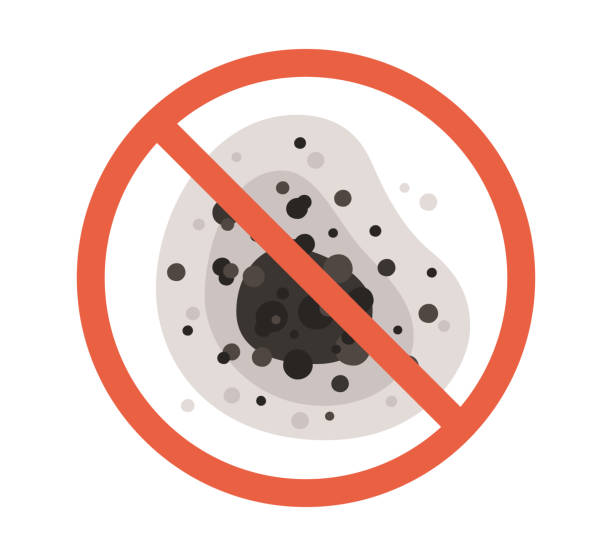 Mold Removal for HVAC Installations in Taft, TX
