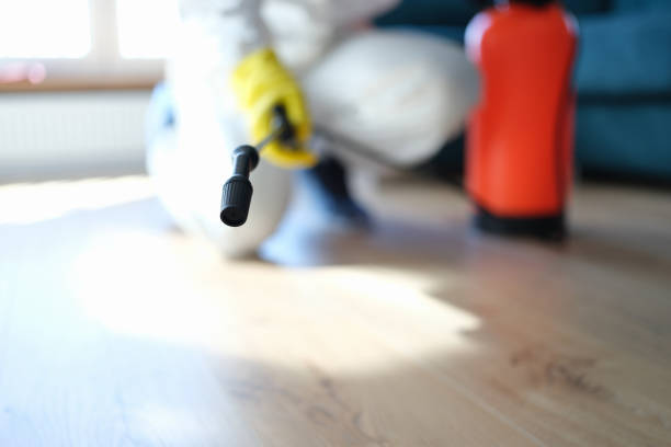 Dehumidification Services in Taft, TX