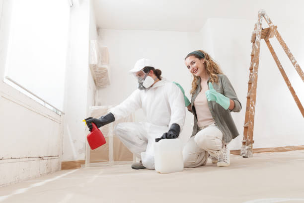 Taft, TX Mold Removal Company